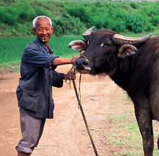 小型飼料顆粒機(jī),農(nóng)民圓夢(mèng)！